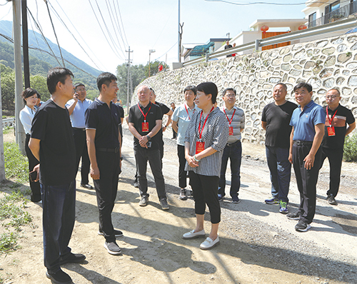 01 區人大常委會深入調研“關于提升懷沙河、懷九河、懷河行洪能力的議案”辦理情況.jpg