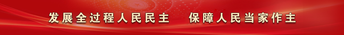 發(fā)展全過程人民民主 保障人民當(dāng)家作主