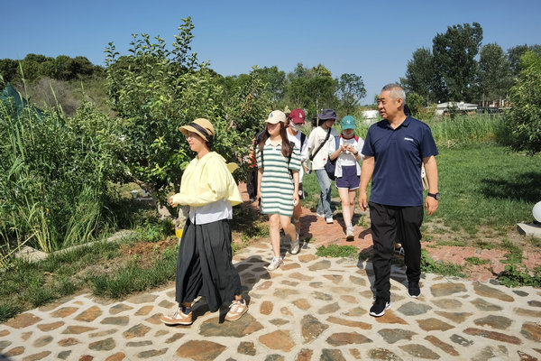 渤海鎮人大代表參觀文旅產業發展 建言鄉村振興